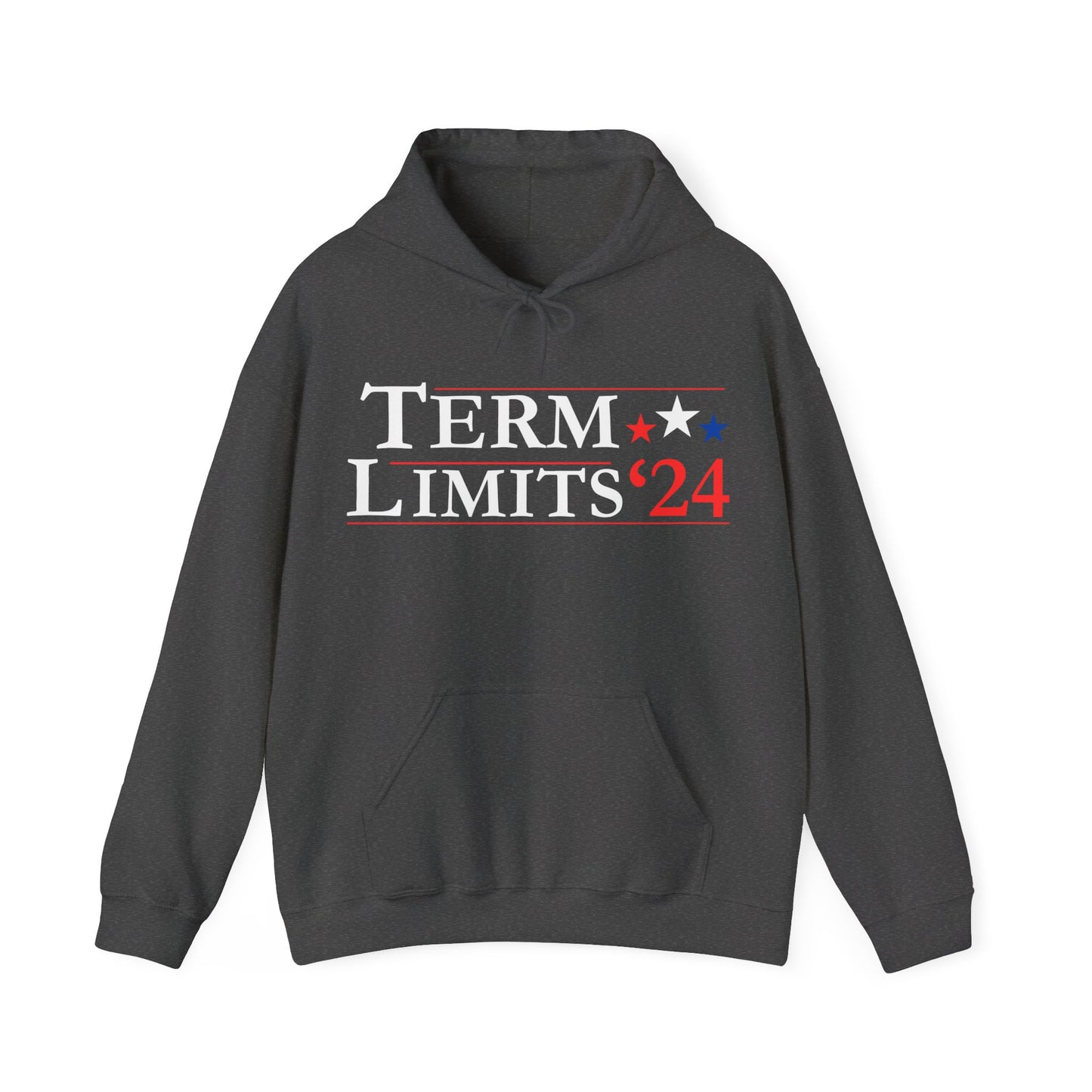 Pullover Hoodie - Term Limits '24