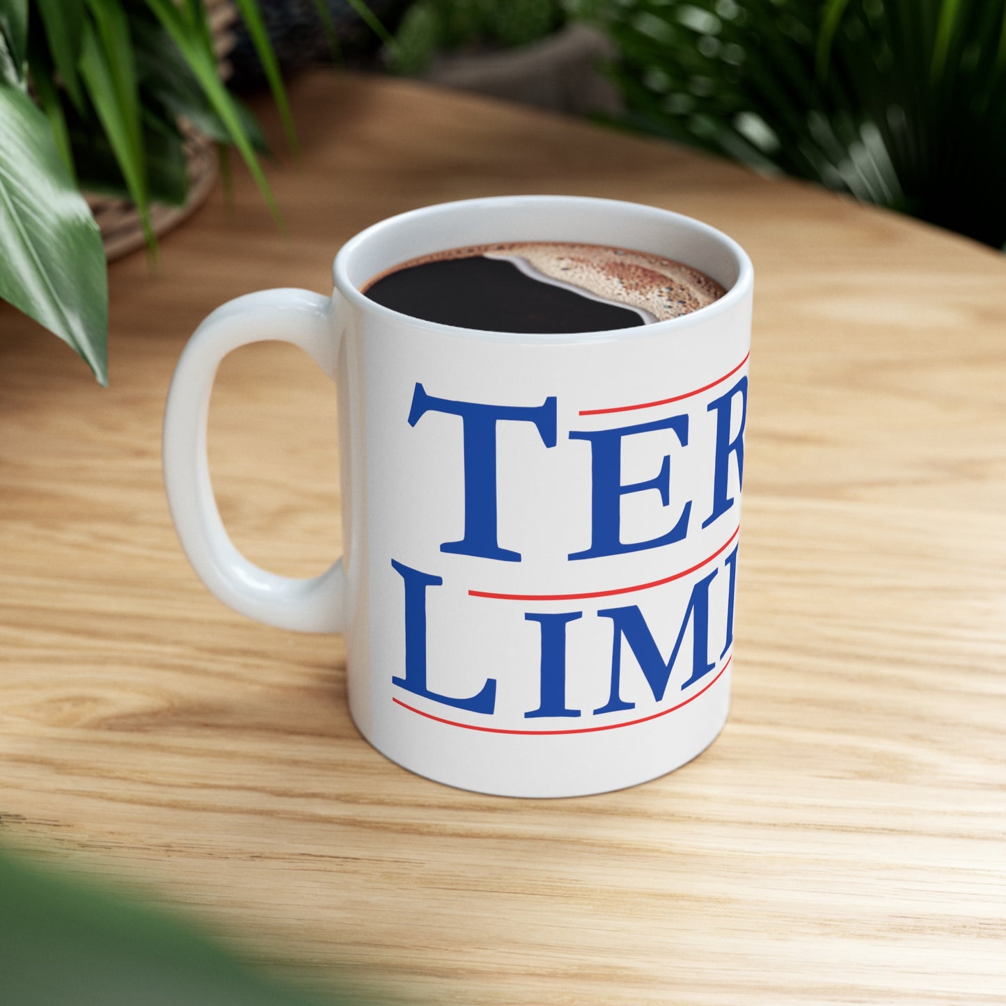 Ceramic Mug 11oz - Term Limits
