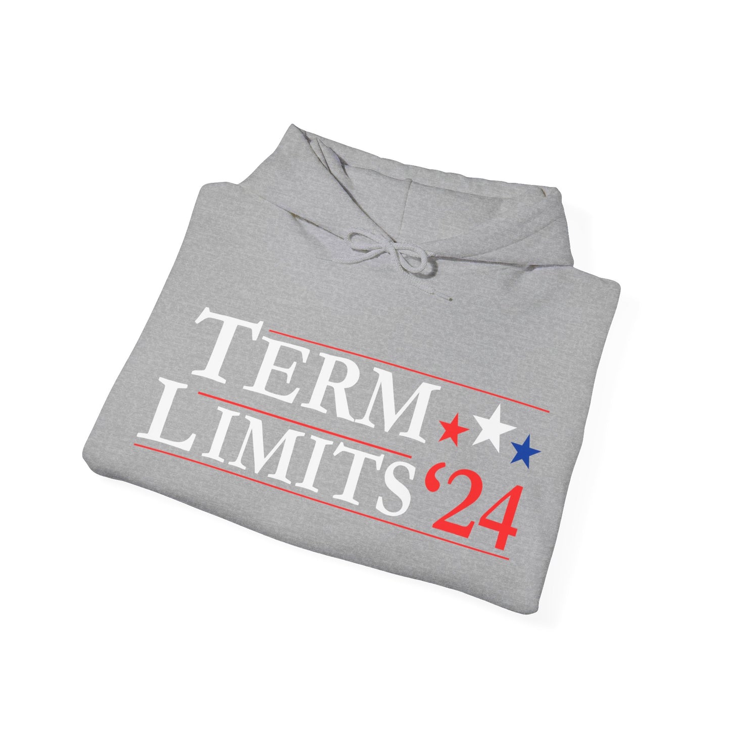 Pullover Hoodie - Term Limits '24